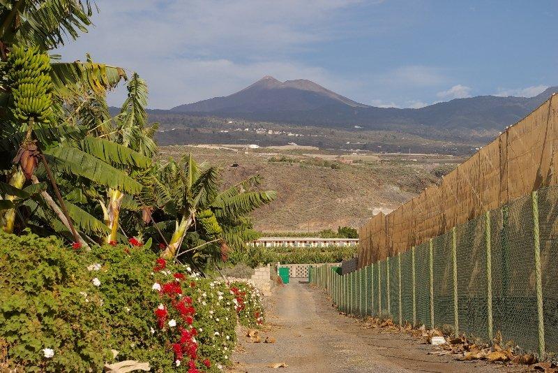 Hotel Rural El Navio - Adults Only Alcalá 외부 사진